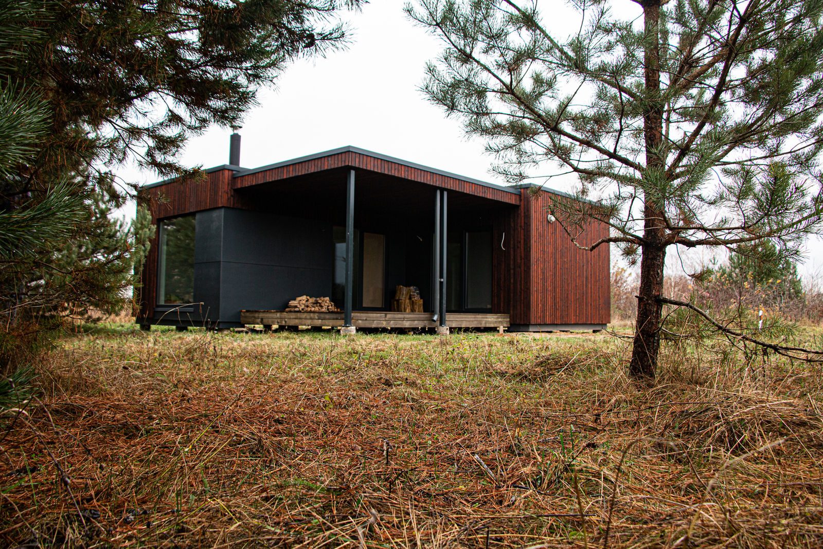 Charred timber facade on a house in a forest clearing